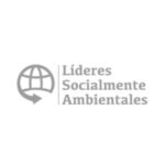 Csr Consulting - Lideres Sociales