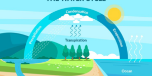 Esquema ilustrativo que muestra el ciclo del agua con sus etapas principales: evaporación, condensación, precipitación e infiltración.
