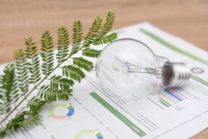 Foco transparente con hojas verdes sobre gráficos de datos representa el análisis de ciclo de vida en acción natural.