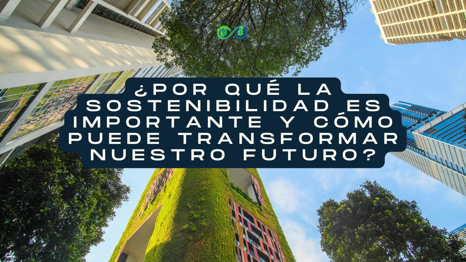 ¿Por qué la sostenibilidad es importante y cómo puede transformar ...
