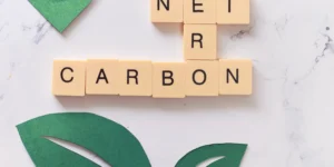 Vista completa de unas letras de tipo scrabble en donde se ven unos iconos relacionados con el medio ambiente.